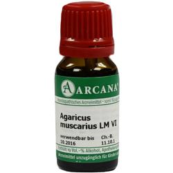 AGARICUS ARCA LM 6