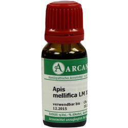 APIS MELLIFICA ARCA LM 18